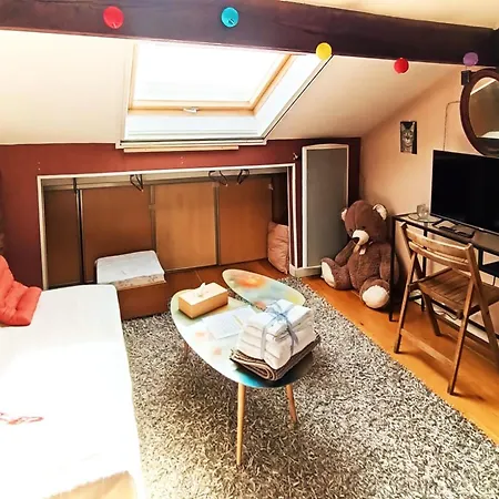 Coquet 2 Pieces Sous Les Toits Appartement Fresnes (Val-de-Marne)